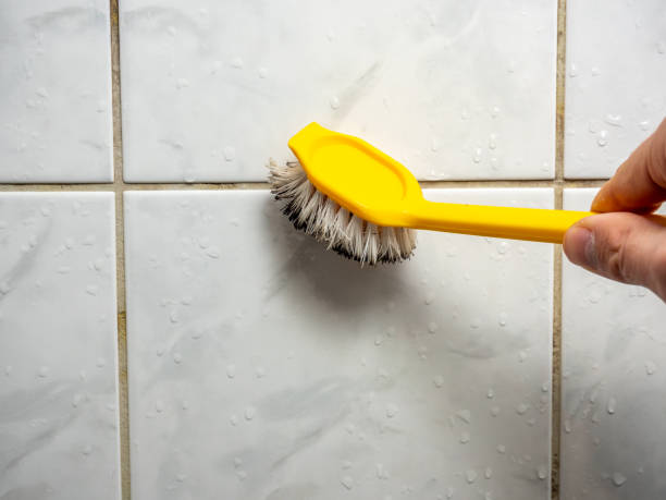 Professional Mold Removal in Boscobel, WI