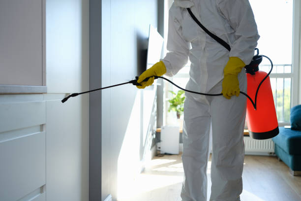Best Mold Testing and Removal  in Boscobel, WI