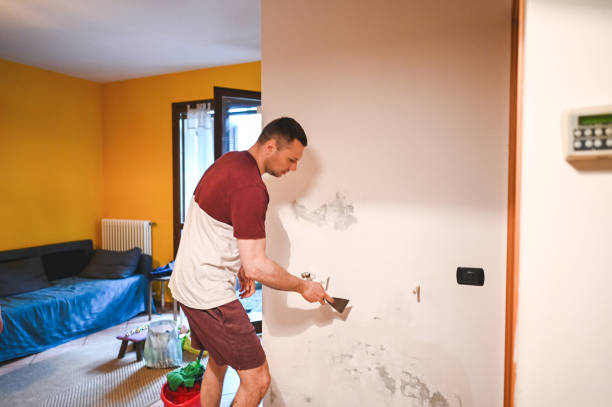Best Office Mold Removal Services  in Boscobel, WI